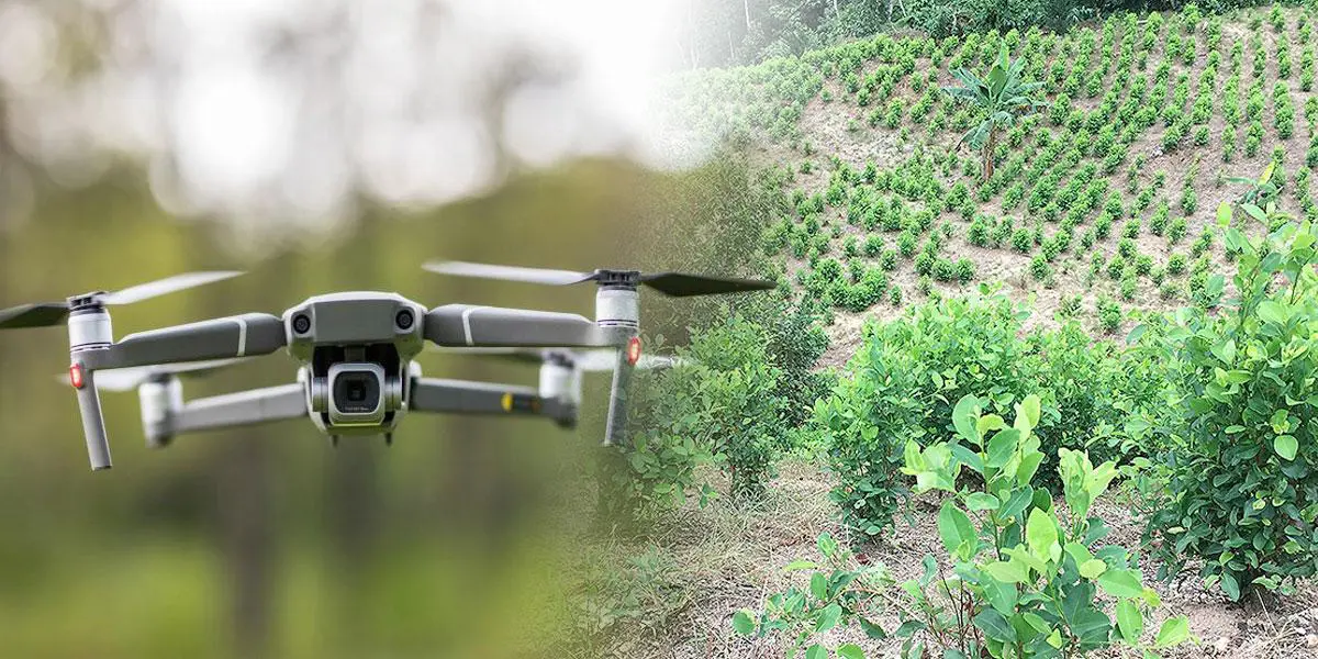 Estados Unidos propone usar drones para fumigar cultivos ilícitos en Colombia