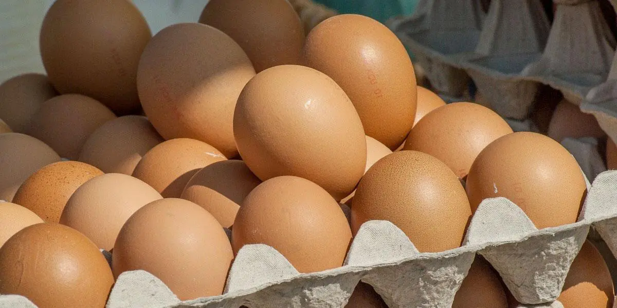 Preocupación entre productores de huevo y pollo por inflación y subida del dólar
