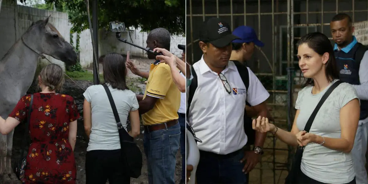 Senadora Andrea Padilla visita San Andrés por denuncias de presunto maltrato y mal estado del albergue de animales