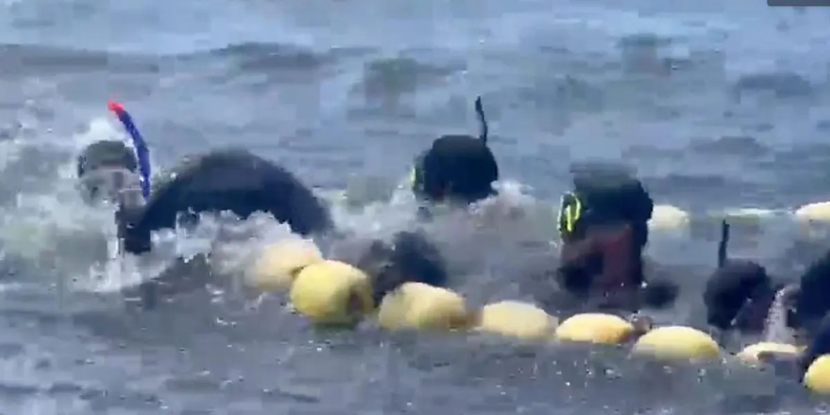 Video: Denuncian cruel pesca en Bahía Solano, Chocó; había delfines heridos &#8220;botando sangre&#8221;