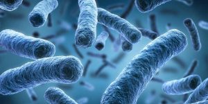 Detectan en Argentina una bacteria que ha causado el brote de neumonía; cuatro personas han muerto