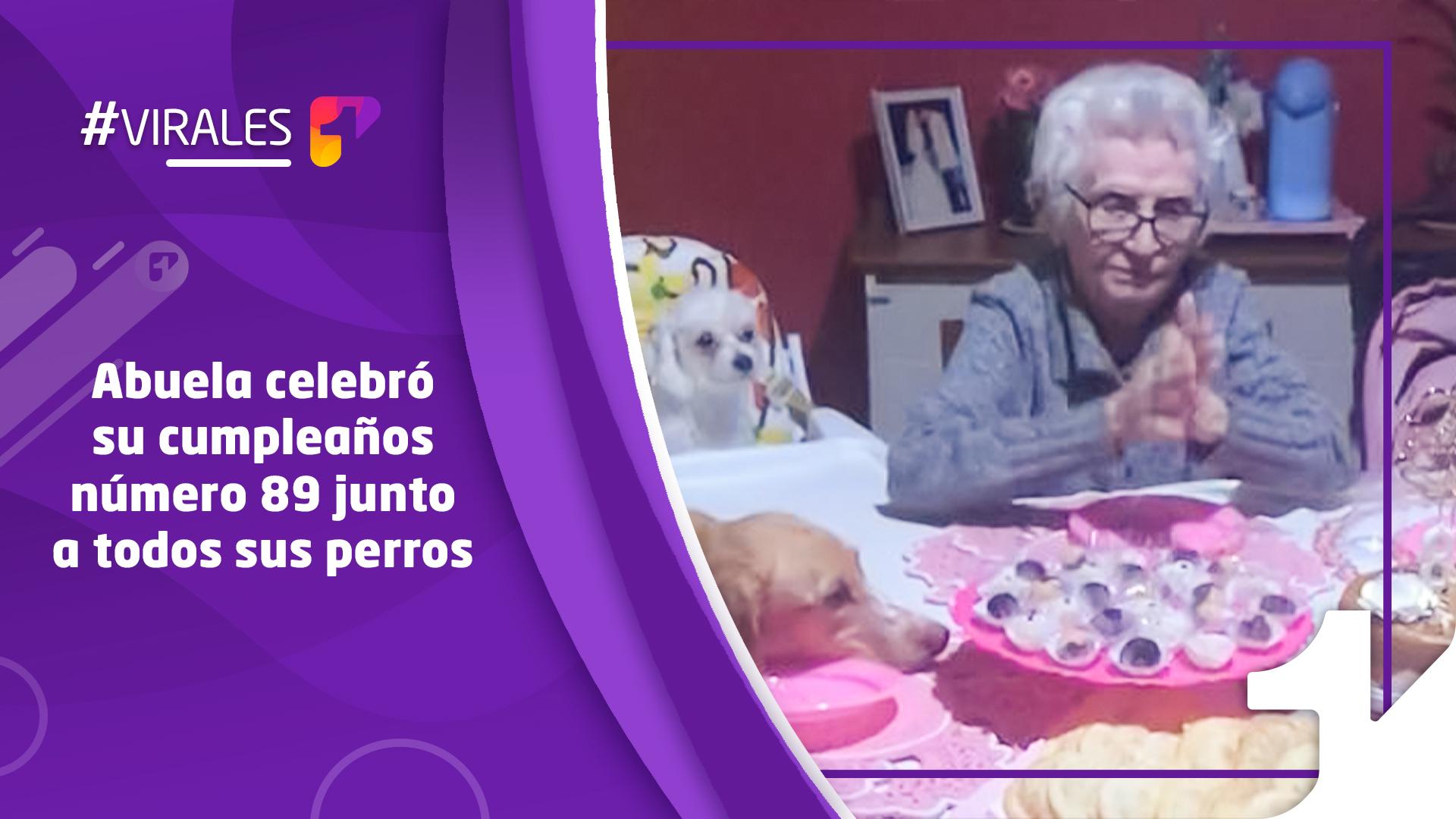 Abuela celebró su cumpleaños número 89 junto a todos sus perros
