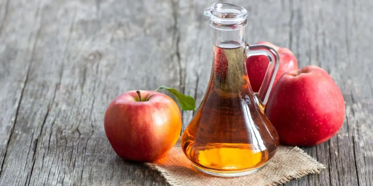 Vinagre de manzana para adelgazar ¿Cómo usarlo?