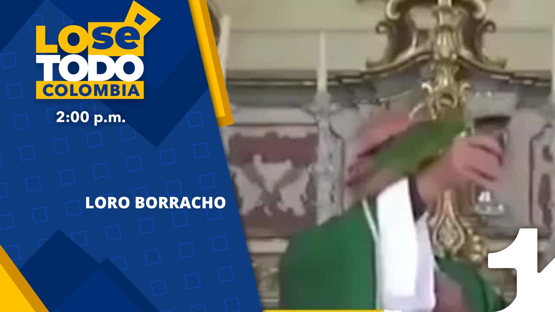 Loro borracho