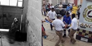 Un pitbull arrancó el brazo a delincuente que entró a robar una casa: ¿Sacrificarán al perro?