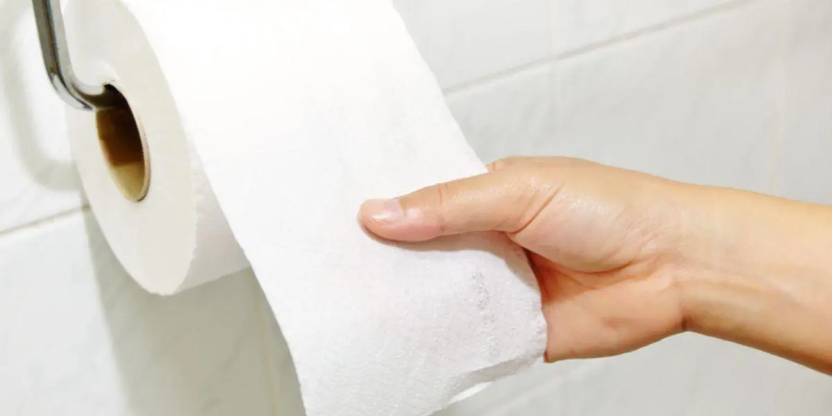 A la basura o al inodoro, ¿Dónde se debe desechar el papel higiénico?