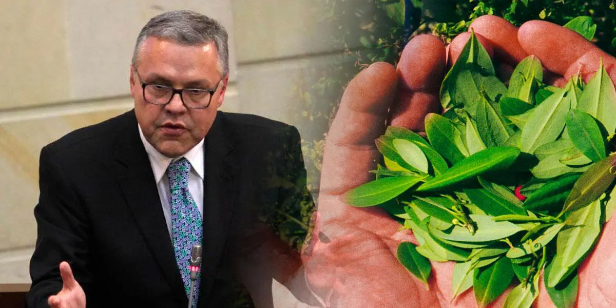 Gobierno plantea pagar salario a cultivadores de coca en la nueva política antidrogas