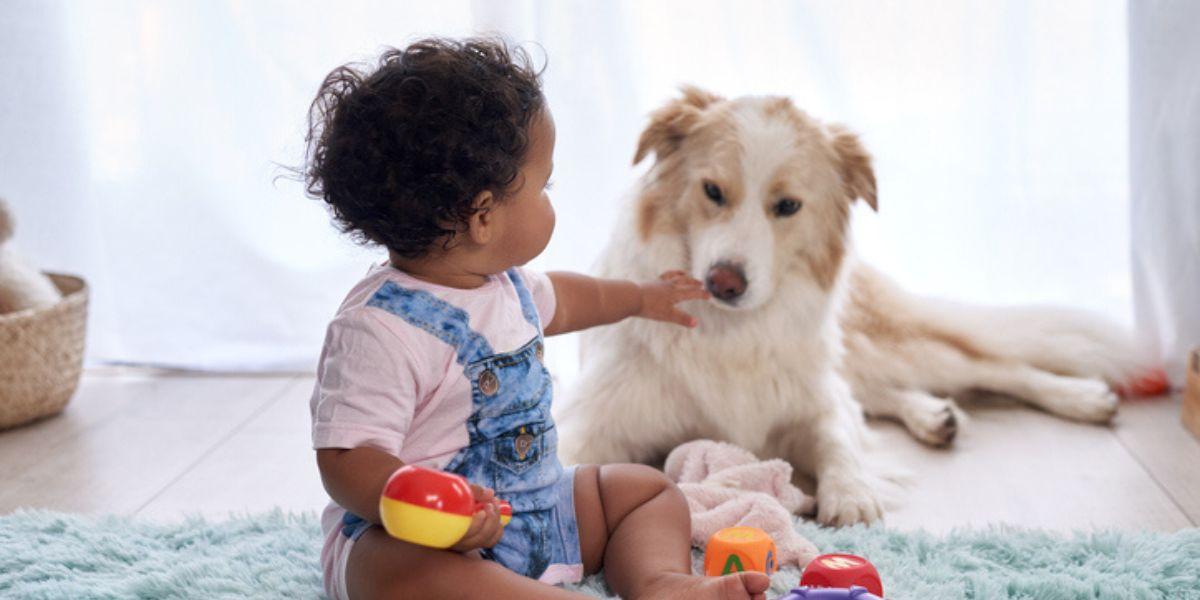 Beneficios de las mascotas en los niños y bebés