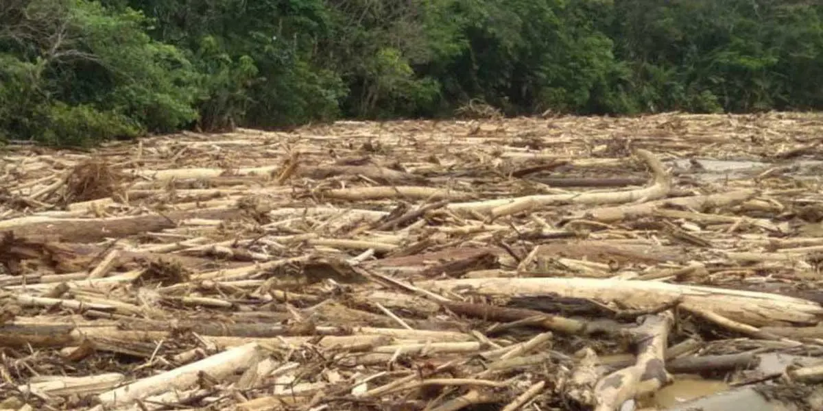 2,500 personas, de 11 comunidades, afectadas por el represamiento del río Murindó