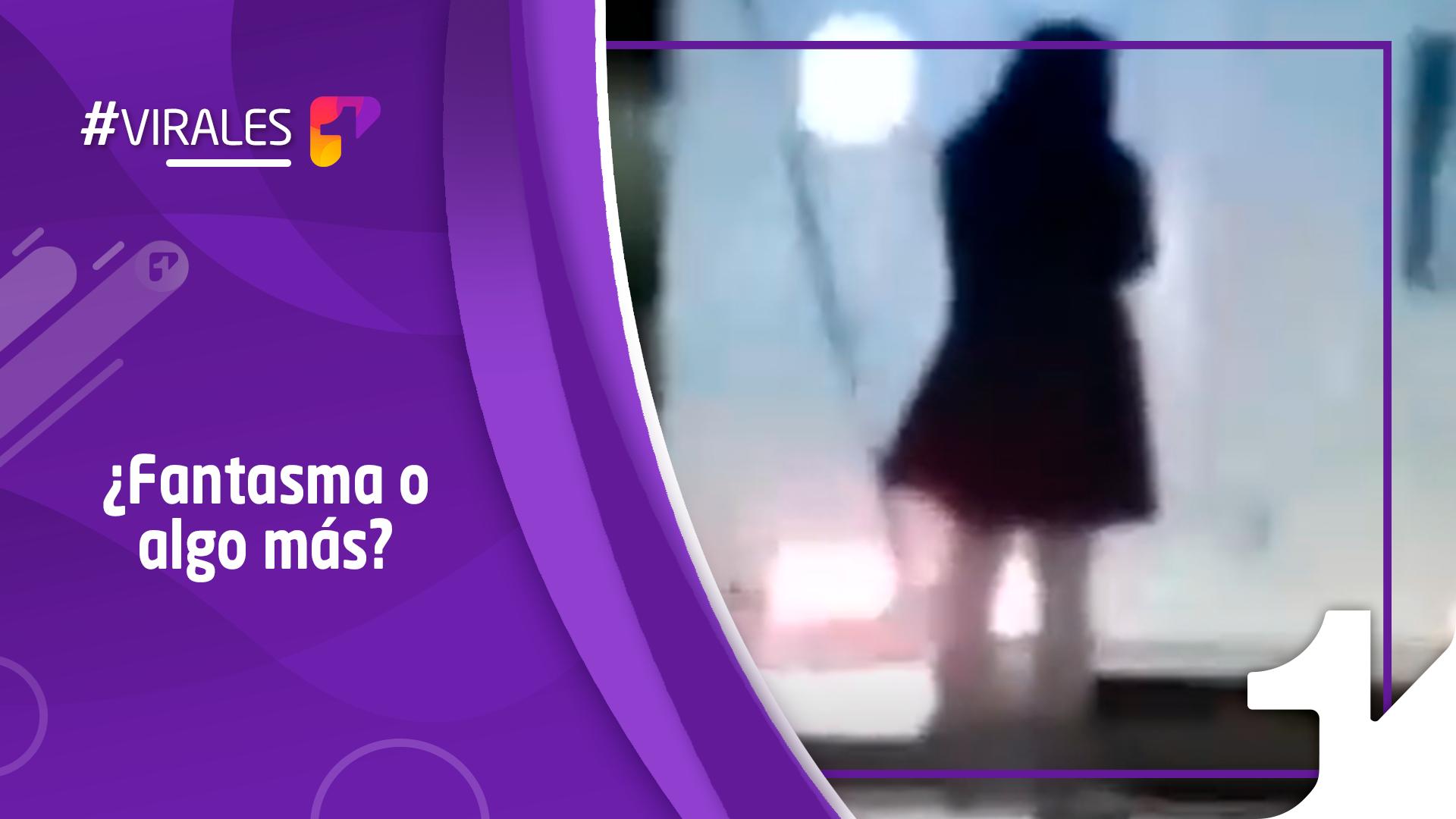 ¿Fantasma? Extraña mujer colgada de un camión en plena carretera causa ...