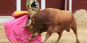 Aprobado en cuarto debate el proyecto de ley que prohíbe las corridas de toros en Colombia