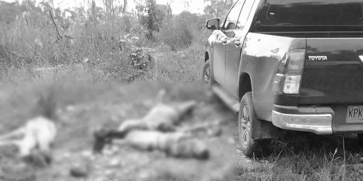 En Putumayo se registró la sexta masacre del año en el país: tres personas fueron asesinadas