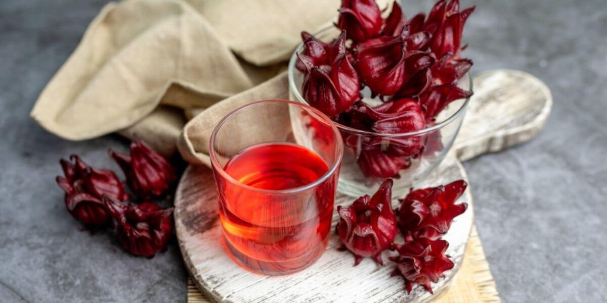 ¿Cuáles son los beneficios de la Flor de Jamaica? Canal 1