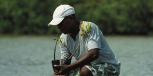 Bancolombia y su compromiso con la conservación marina: lanza Cuenta del Mar