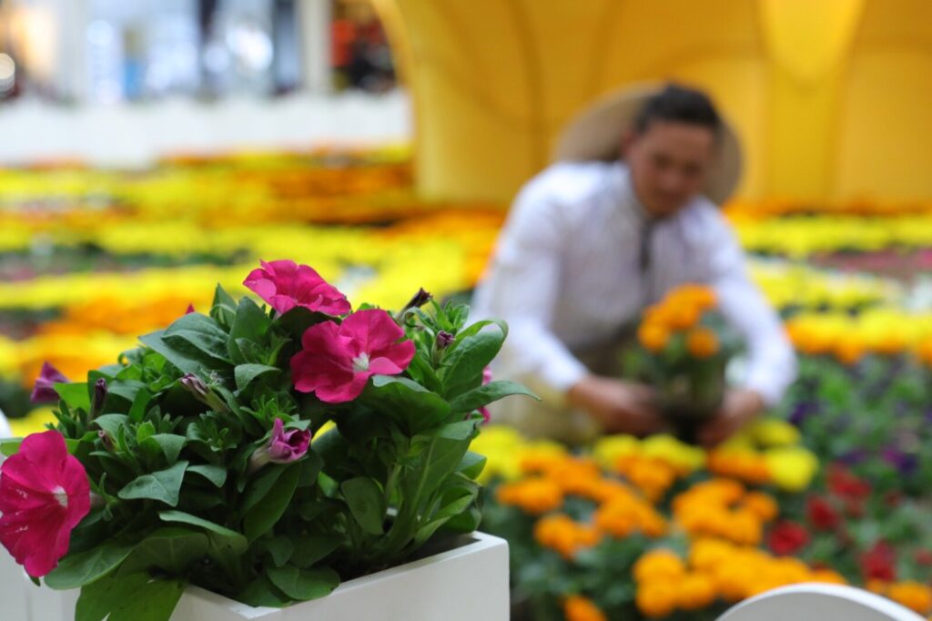 El Jardín del Encanto en el Centro Comercial Santafé: 50,000 flores iluminan Bogotá