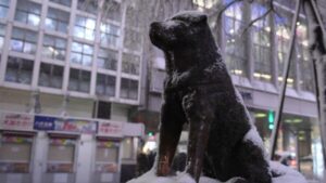 Hachiko: cien años del perro que murió esperando a su dueño