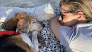 Video | Familia despide a su perrito en la playa y conmueven las redes