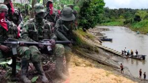 Frente de guerra occidental del ELN anuncia paro armado en el Chocó
