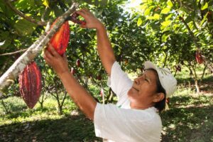 Gobierno refuerza territorios campesinos agroalimentarios con nueva herramienta