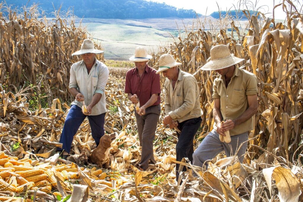 Finagro desembolsa más de $7,8 billones para campesinos colombianos