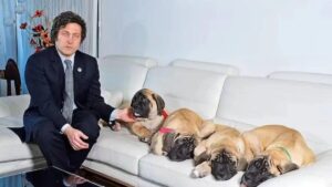 Javier Milei y la inusual familia con la que gobernará Argentina: cuatro perros clonados