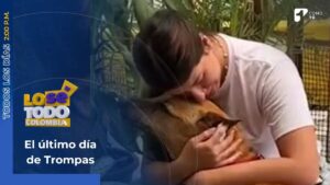 Mujer grabó el último día de su perro y el video se hizo viral en redes