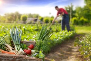 Colombianos brillan en la agricultura sostenible en el Ranking Latinoamericano de Yara