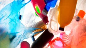 Prohibición de plásticos de un solo uso: impacto en comerciantes y fabricantes