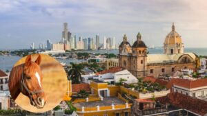 Cochero que habría estafado a turista canadiense en Cartagena pidió disculpas