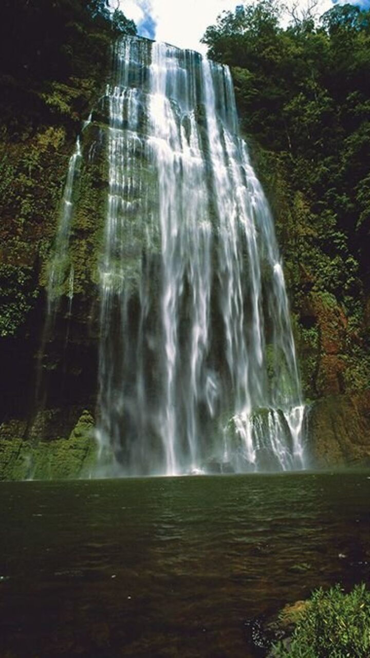 A principios de este mes, el Gobierno de Gustavo Petro dio a conocer la creación del Parque Nacional Natural Serranía de Manacacías en Colombia.