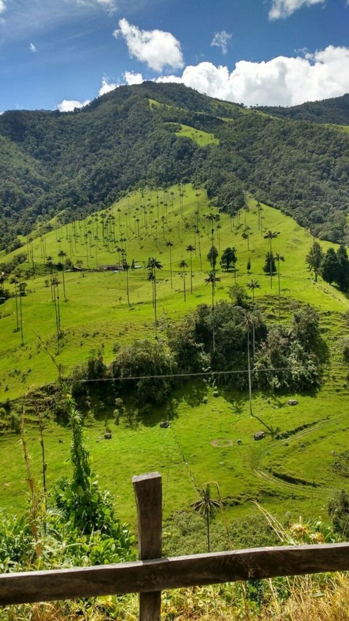 La designación de esta zona como área protegida es un paso significativo en la conservación de la biodiversidad. 