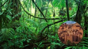 Hallan inmensa ciudadela de 2500 años de antigüedad en la selva amazónica