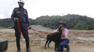 Emotivo rescate: encuentran con vida a perrito enterrado 48 horas en derrumbe