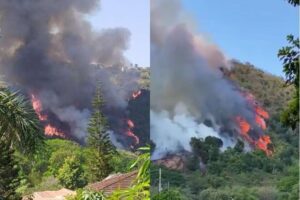 Desastre en Santander: ciudadanos intentan apagar incendios forestales con baldes de agua