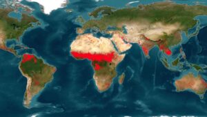 No solo es Colombia: la zona subtropical del mundo arde, según mapa de la NASA