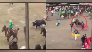 Video | Caballo resultó gravemente herido en medio de corralejas en Córdoba