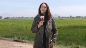 Luto en el periodismo: falleció la reconocida periodista colombiana de CNN Krupskaia Alís