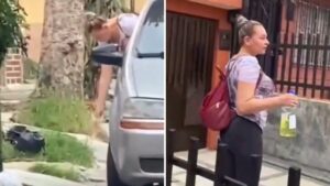 Video | Mujer es captada arrojando veneno a perritos al sur de Medellín: Mi propiedad