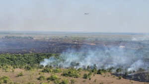 Incendio en Vichada ha consumido más de 7 mil hectáreas: No hemos determinado las causas