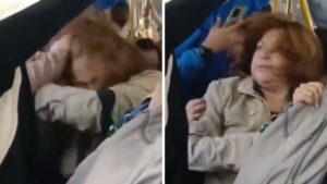 Video | Mujeres protagonizaron brutal pelea con mechoneada incluida en TransMilenio