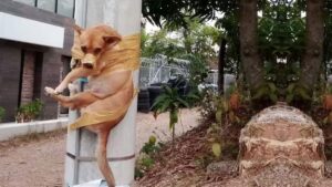 Doky sano y salvo: Policía rescató perrito que fue amarrado a un poste con cinta