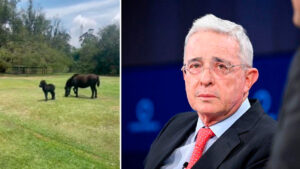 Uribe dice que rifará un caballo para contribuir a la vaca para las vías 4G en Antioquia