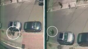 Video | ¡Insólito! Hombre en silla de ruedas le robó los espejos a un automóvil en Bogotá