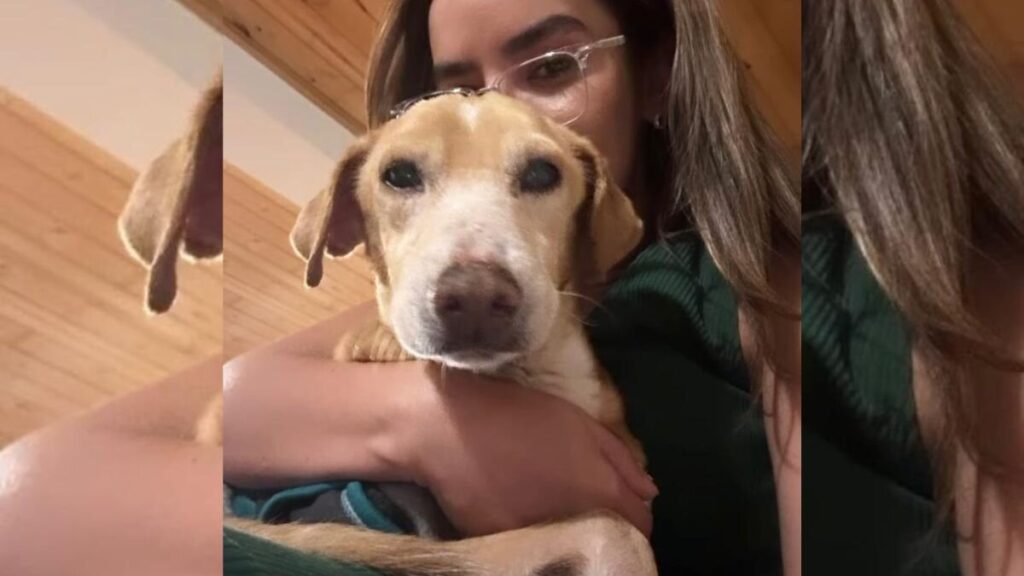 Elianis Garrido se despide de su perro adoptado, con nostálgico mensaje en redes