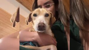 Elianis Garrido se despide de su perro adoptado con nostálgico mensaje en redes