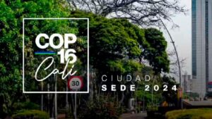 Preparativos para la COP16 en Cali: Colombia se alista para gran encuentro internacional