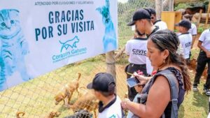 Fundación de protección animal en Cali que alberga 208 animales: en riesgo de desalojo