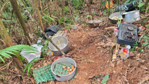 Por orden del Gobierno se realizaron bombardeos en campamentos de disidencias en el Cauca