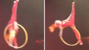 Video | Acróbata se cayó en medio de uno de sus espectáculos en el Cirque du Soleil