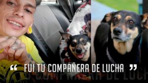 La conmovedora carta con la que buscan dar en adopción a la perrita de Javier Acosta